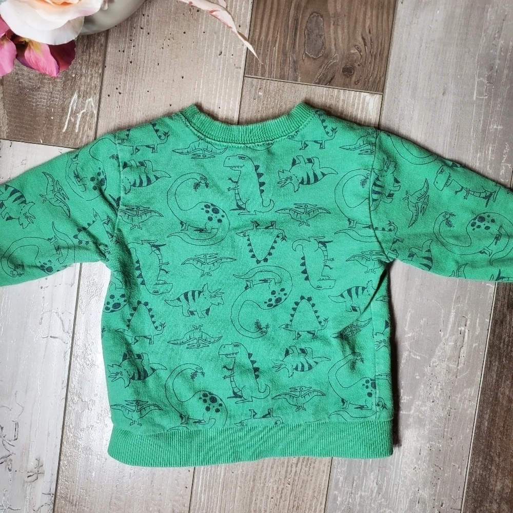 Carter's Green T-Rex Dinosaur Fleece Pullover Sweatshirt Boys Size 18m EUC